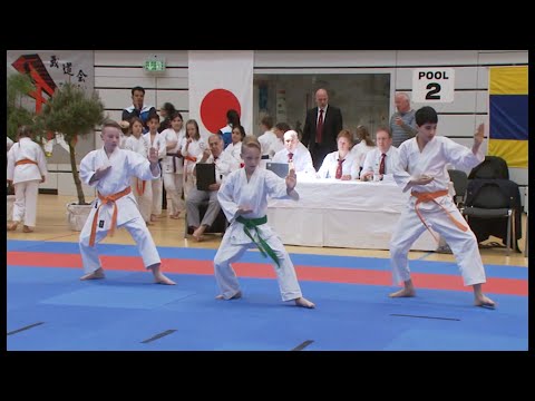 Karate in der Volleyball-Arena