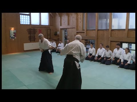 Training mit der Aikido-Legende