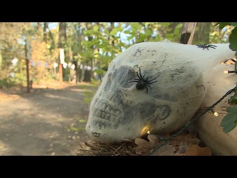 Gruselfest im Schweriner Zoo