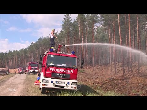 Anhaltende Trockenheit steigert Waldbrandgefahr