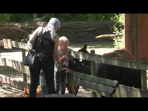 Schweriner Zoo freut sich auf kleine und große Besucher