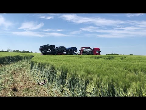 PKW-Transporter kommt von A14 ab und landet in Gerstenfeld