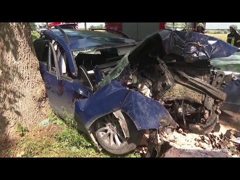 Schwerer Unfall auf der L11 – Fahrer rast in Baum