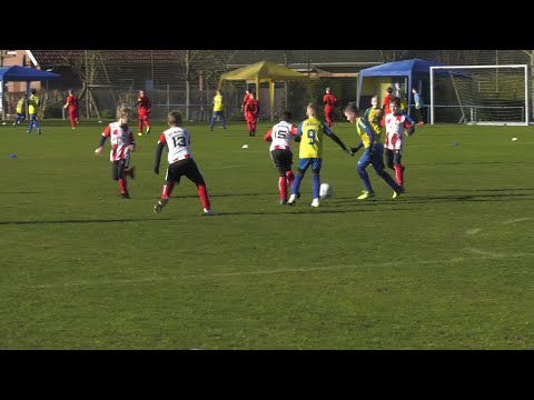 20 Mannschaften kickten beim Fußball-Turnier in Lübz