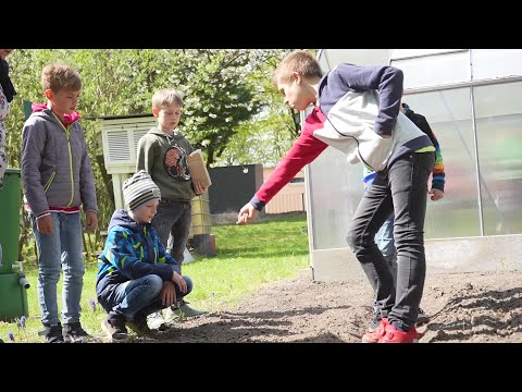 Früh übt sich: Der Bauernverband M-V regt Schüler zur Gartenarbeit an