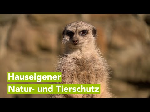 Heimattierpark Grimmen setzt auf Natur- und Artenschutz vor Ort