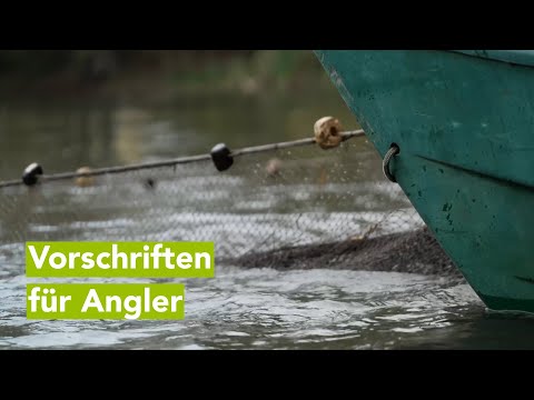 Mehr Vorschriften für Angler in M-V