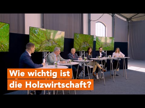 Talk: Ist Holz-Nutzung wirklich Klimaschutz und wie sehen unsere Wälder in MV in Zukunft aus?