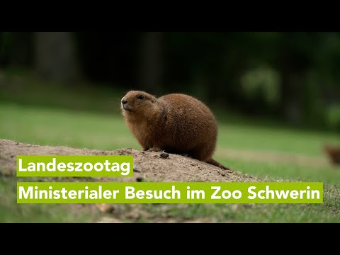 Ministerin Jacqueline Bernhardt übernimmt Patenschaft im Zoo Schwerin