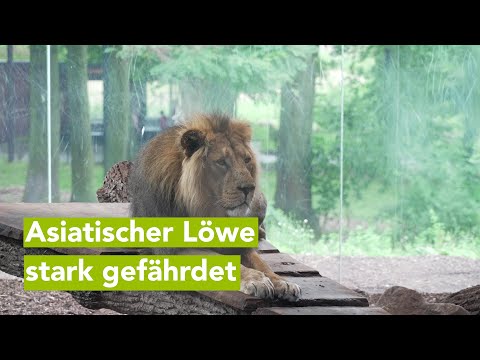 Zoo Schwerin: Rote Liste Zentrum klärt über bedrohte Tierarten auf