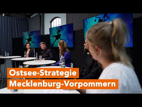 Von Munitionsbergung bis Kulturaustausch: Talk aus Markthalle Wismar zur Ostsee-Strategie MV