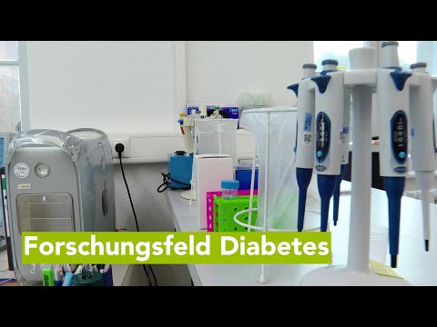 Wirtschaftsfenster M-V: Institut für Diabetes forscht an Testplattform von Zellaktivitäten