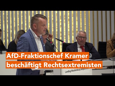 Rechtsextremer in der AfD-Fraktion im Landtag von Mecklenburg-Vorpommern