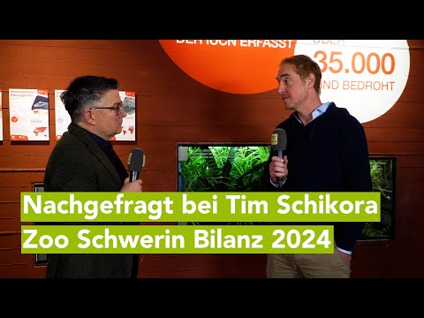 Nachgefragt: Schweriner Zoo Direktor Tim Schikora zieht Bilanz für 2024 – Ausblick 2025 inklusive